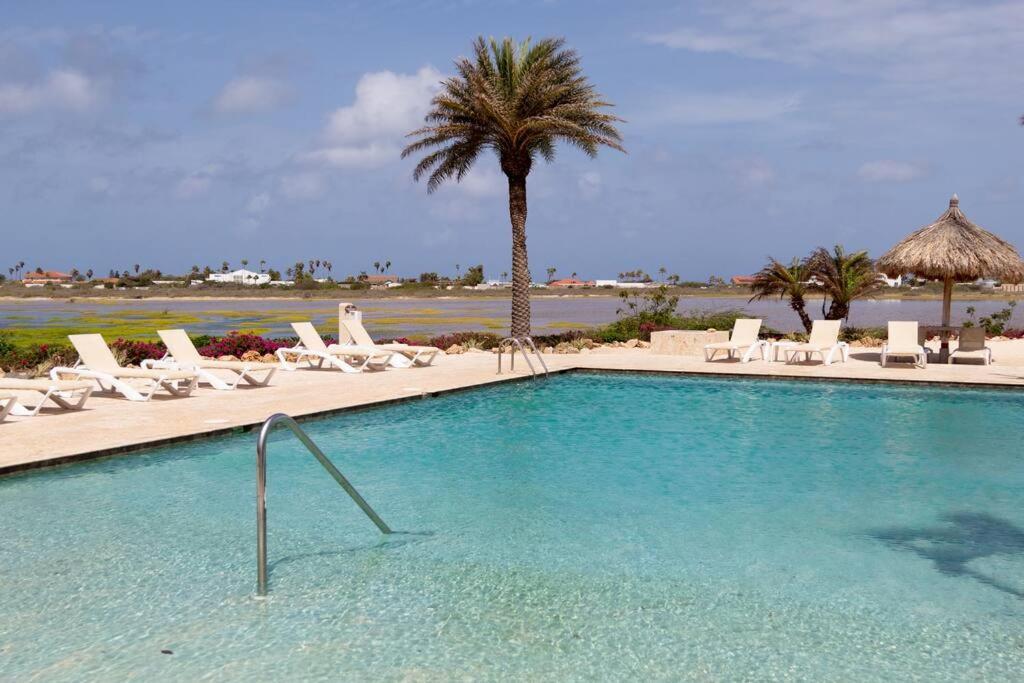 New! Cozy 1 Bedroom Condo- Gold Coast, Noord Aruba Palm Beach Eksteriør bilde