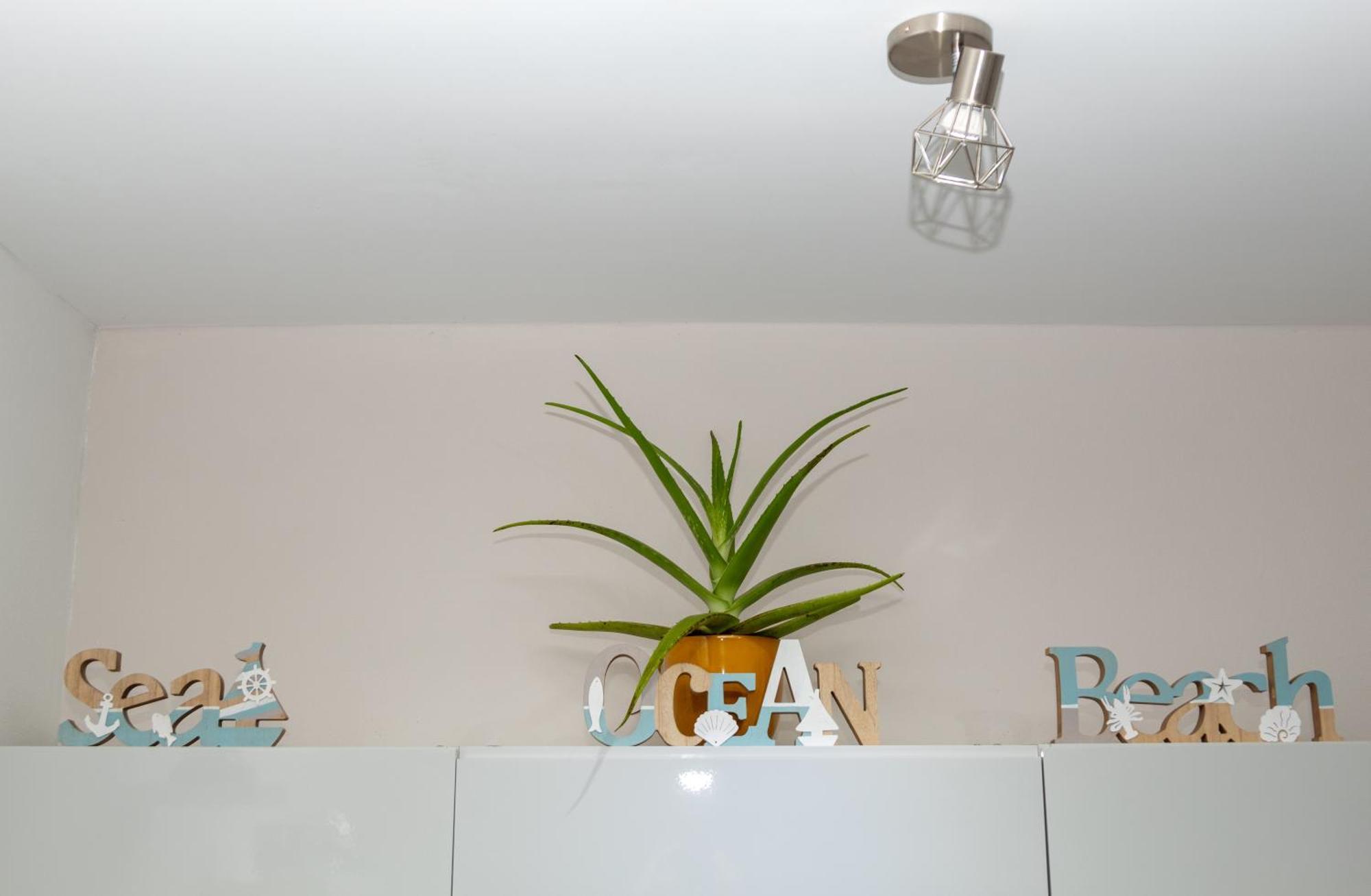New! Cozy 1 Bedroom Condo- Gold Coast, Noord Aruba Palm Beach Eksteriør bilde
